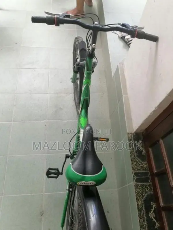 Milo Energy Mountain Bicycle