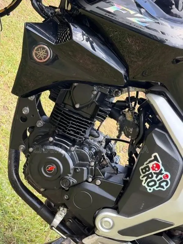 Yamaha FZ V2 Fazer 2019