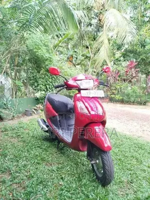 Hero Pleasure 2013