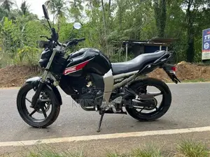 Yamaha FZ 2010