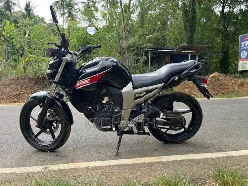 Yamaha FZ 2010