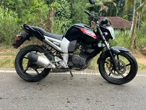 Yamaha FZ 2010