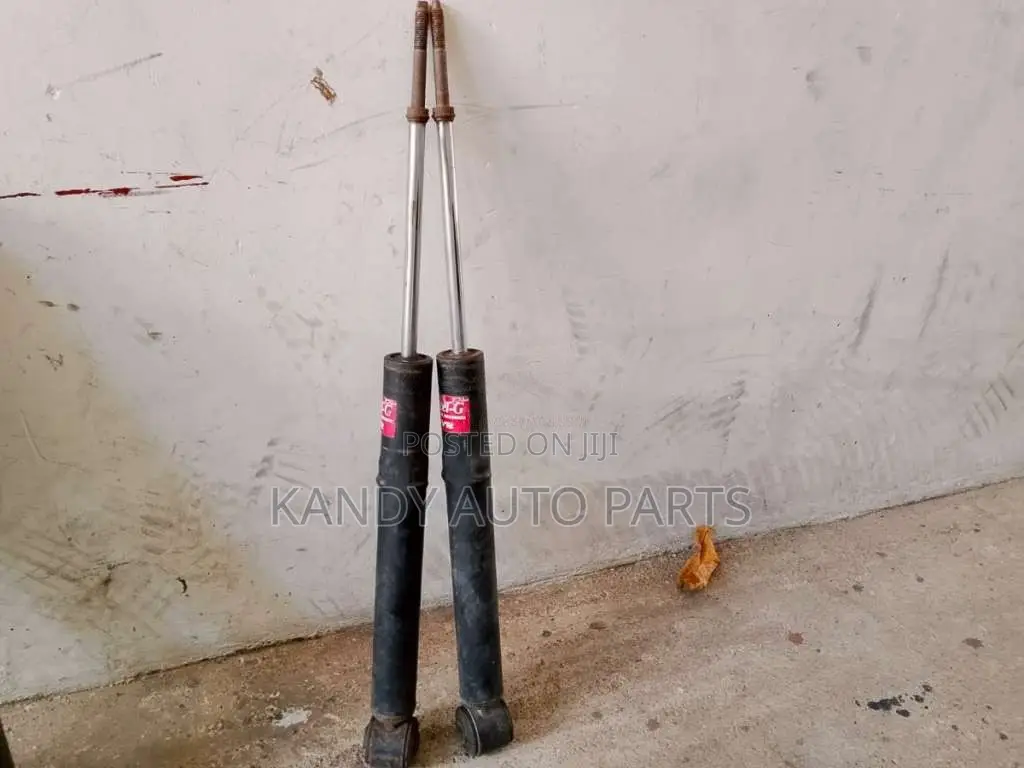 Shock absorber for Car
