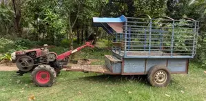 Yanmar Sifang 2005 Tractor (Used)