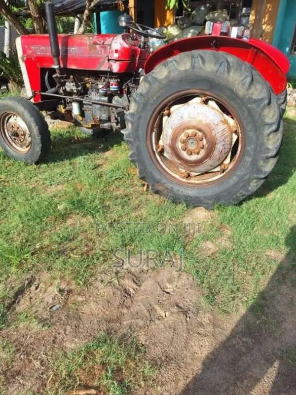 Massey-Ferguson 135 2000 Tractor (Used)