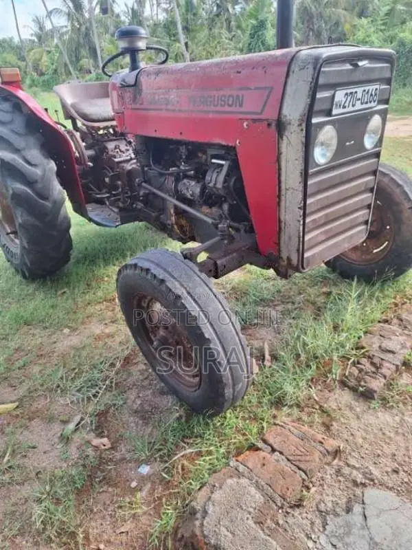 Massey-Ferguson 135 2000 Tractor (Used)