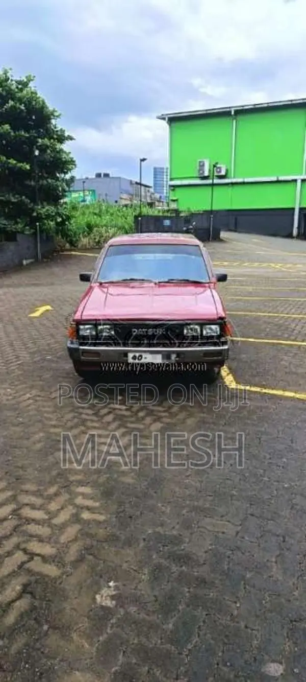 Nissan Datsun 720 1983 Pickup (Used)