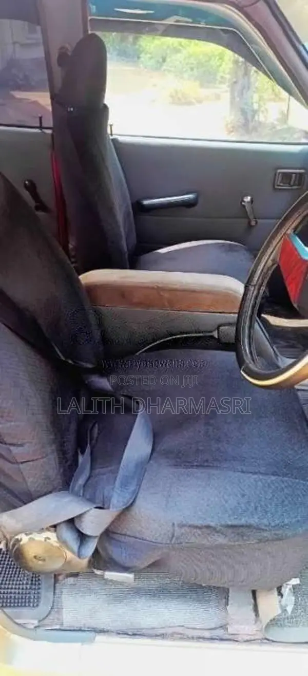 Nissan Datsun 1982 Pickup (Used)