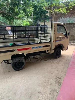 Tata Dimo Batta 2010 Lorry (Used)