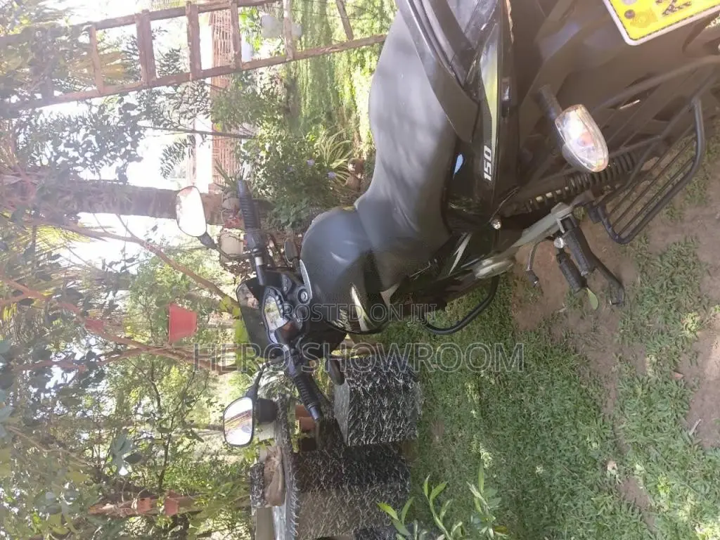 Bajaj Pulser 150 2015 Motorbike (Used)