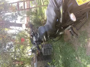 Bajaj Pulser 150 2015 Motorbike (Used)