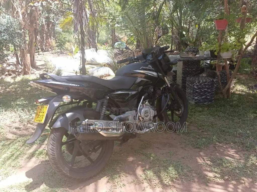 Bajaj Pulser 150 2015 Motorbike (Used)