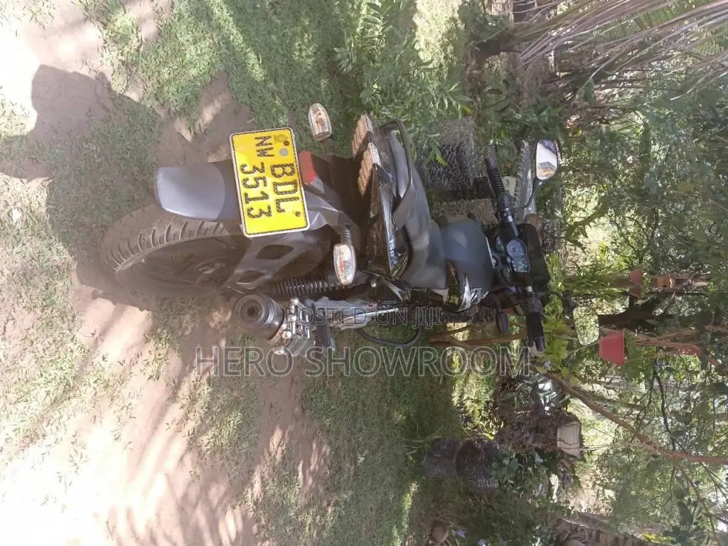 Bajaj Pulser 150 2015 Motorbike (Used)