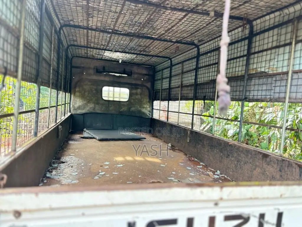 Isuzu Isuzu 1994 Lorry (Used)