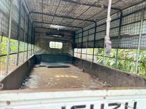 Isuzu Isuzu 1994 Lorry (Used)