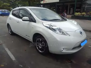 Nissan Leaf 2015 Car (Used)