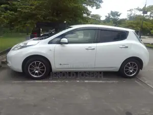 Nissan Leaf 2015 Car (Used)