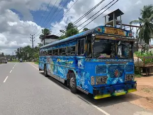 Ashok-Leyland Viking 2010 Bus (Used)
