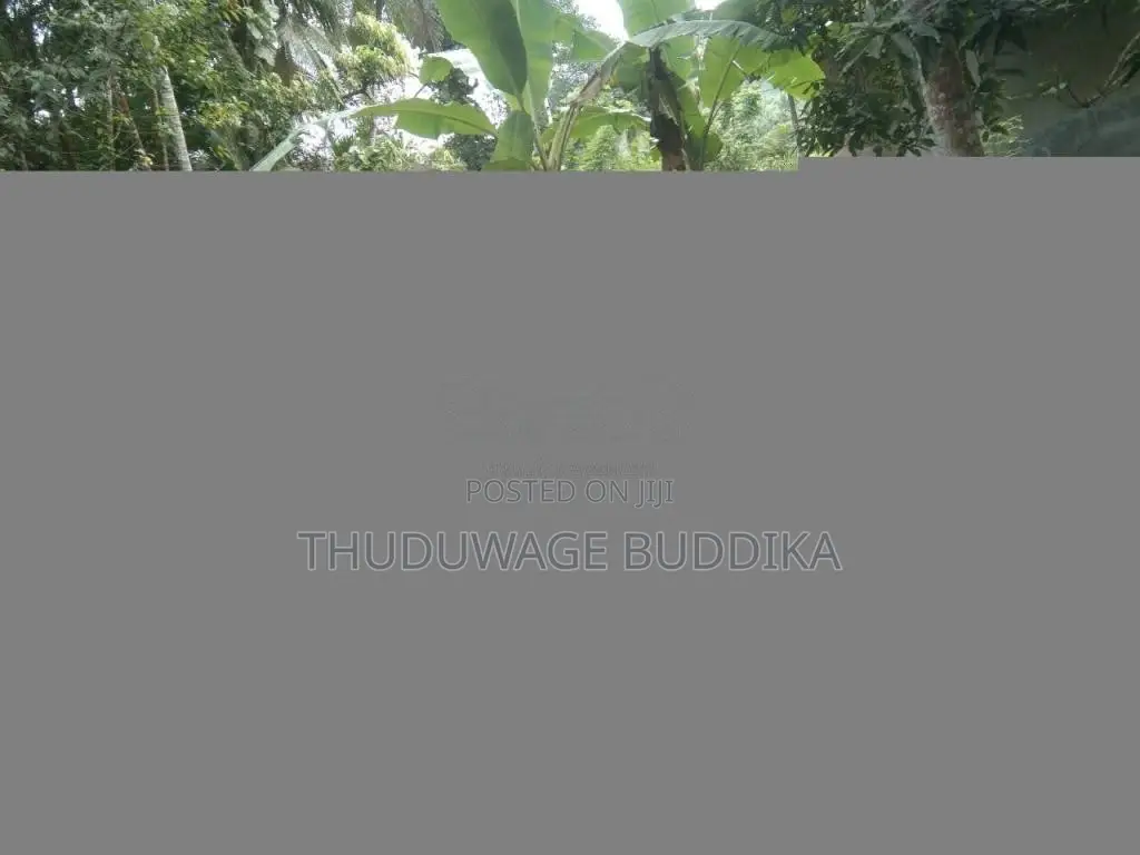 Kubota K75 1998 Tractor (Used)