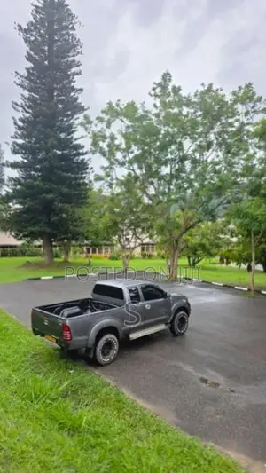 Toyota Hilux 2009 Pickup (Used)