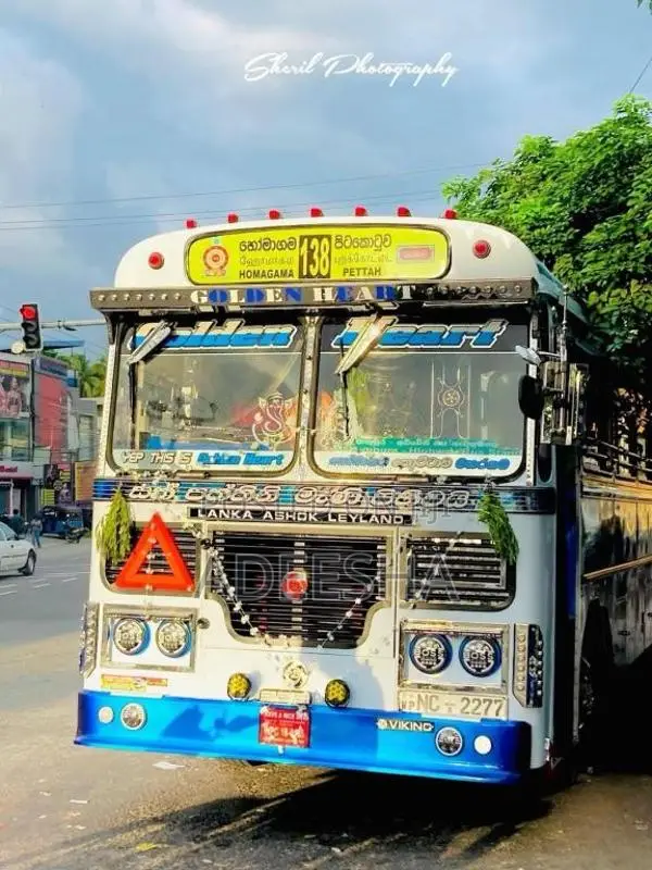 Ashok-Leyland Viking 2014 Bus (Used)
