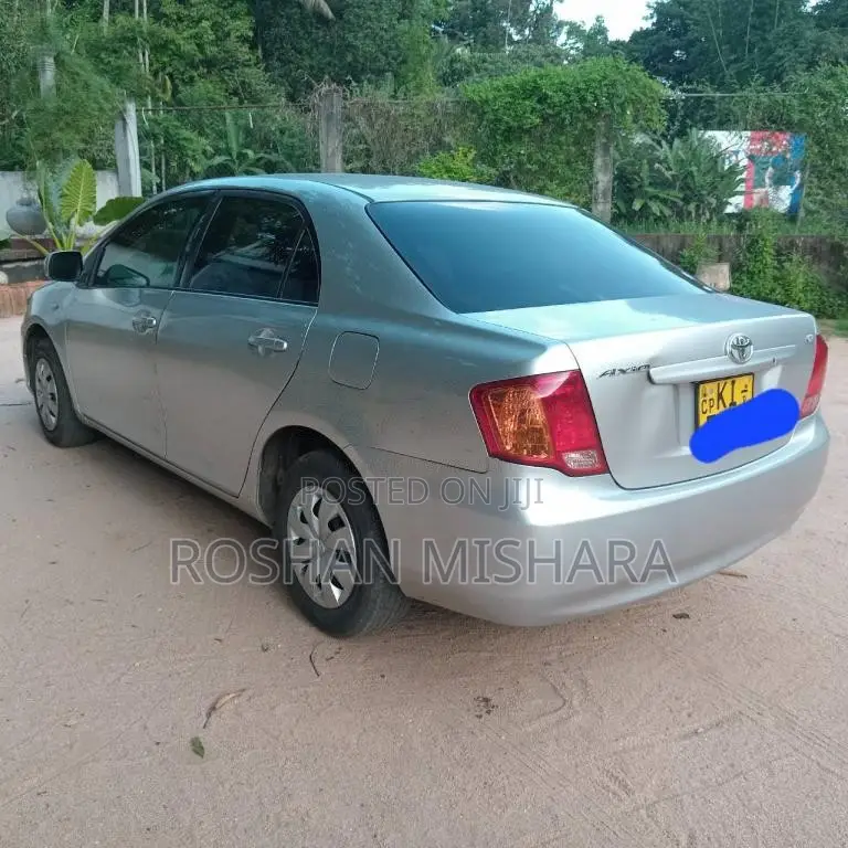 Toyota AXIO 2010 Car (Used)