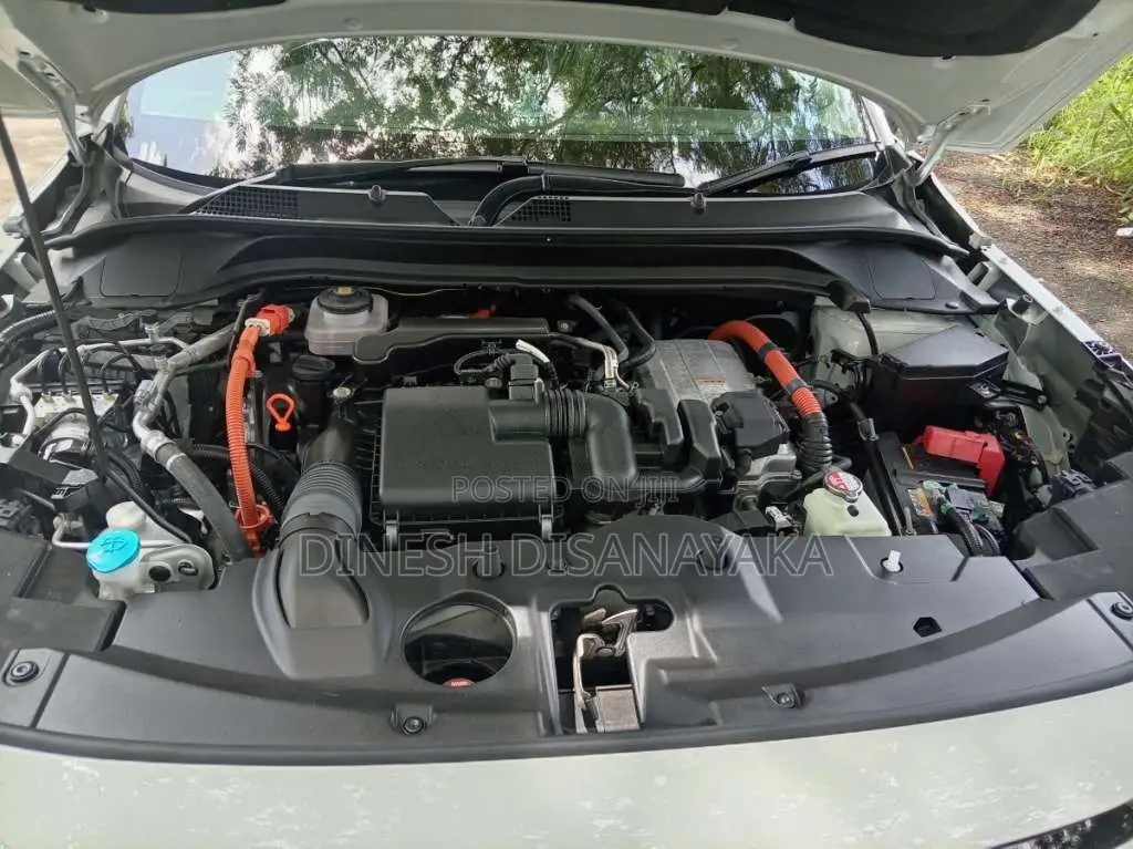 Honda Vezel Premium 2025 SUV (Used)