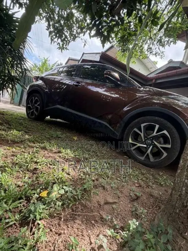 Toyota CHR NGX50 2017 SUV (Used)