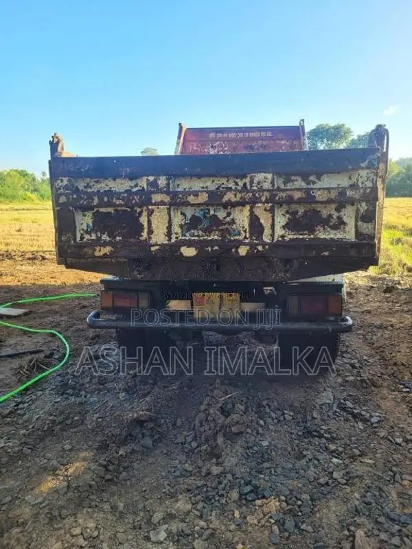Isuzu L.f 1981 Lorry (Used)