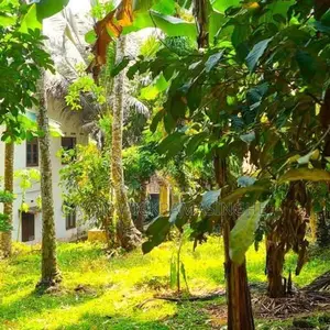 Large House for Sale in Biyagama