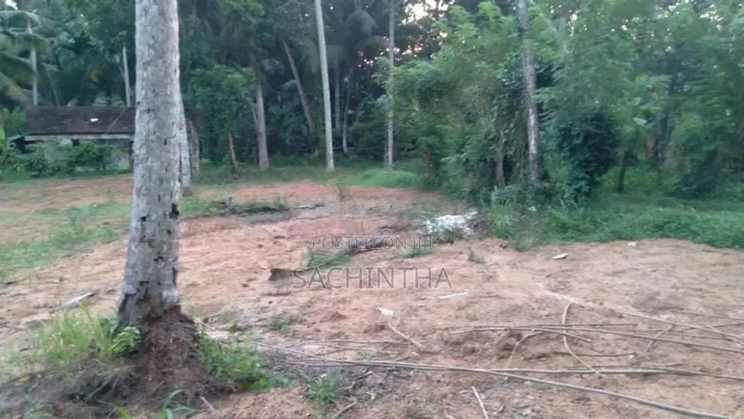 Land for Sale in Dunagaha