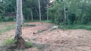 Land for Sale in Dunagaha