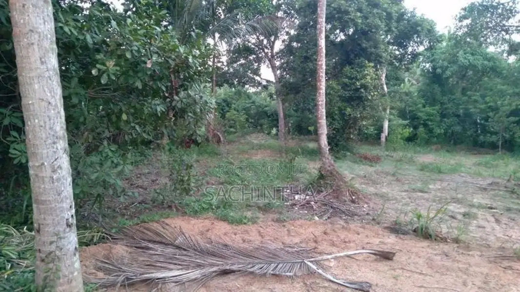 Land for Sale in Dunagaha
