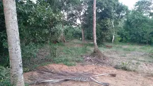 Land for Sale in Dunagaha