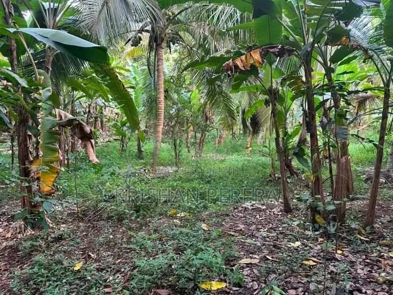 Land for Sale Aruggoda Panadura