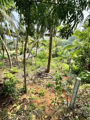 Land For Sale Near Karapitiya Hospital
