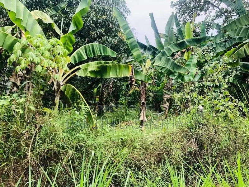 Land for Sale Kurunegala