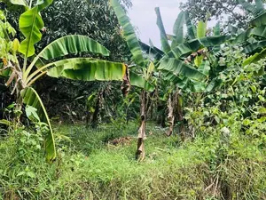 Land for Sale Kurunegala