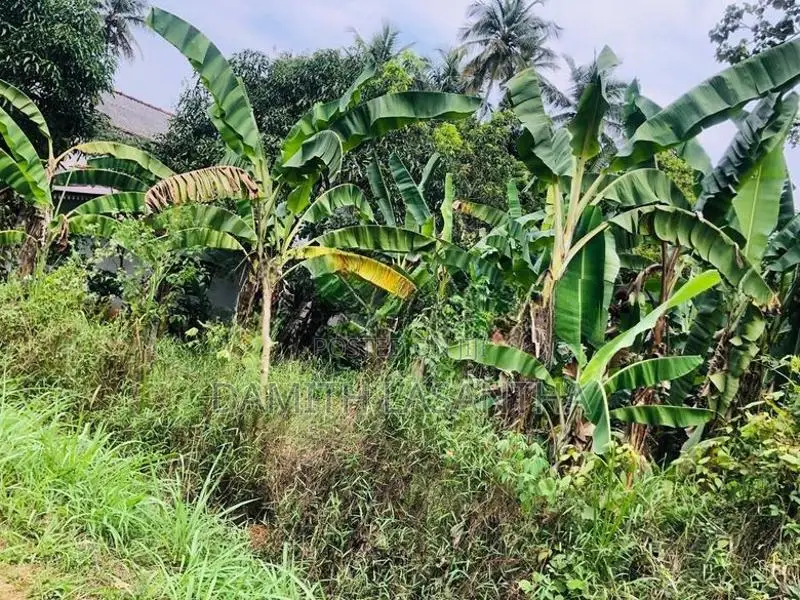 Land for Sale Kurunegala