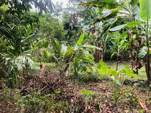 Land for Sale Kurunegala