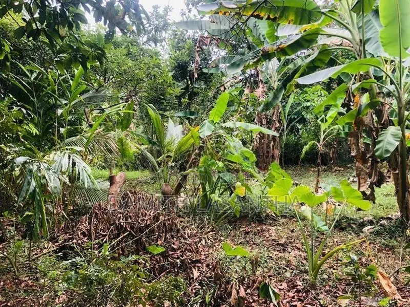 Land for Sale Kurunegala