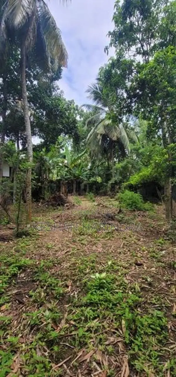 Land for Sale in Bandaragama