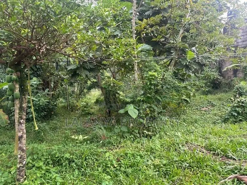 9/18 Perch Land for Sale in Pelenwatta, Pannipitiya PCCC-A1