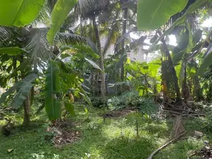 13.6 Perch Land For Sale Katubadda