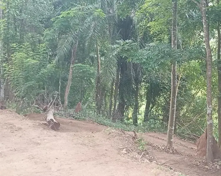 Land For Sale In Kandy - Gunnapana Polgolla
