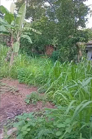 8.5 Perch Bare Land for Sale in Hokandara. CVVV-A2