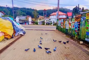 නුවරඑළිය වැලිමඩ පාරට ඇවිදයන දුරින් පර්චස් 11ක වටිනා ඉඩම / RU 14442
