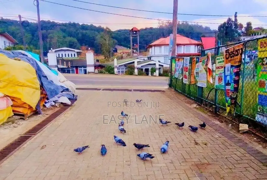 නුවරඑළිය වැලිමඩ පාරට ඇවිදයන දුරින් පර්චස් 11ක වටිනා ඉඩම / RU 14442