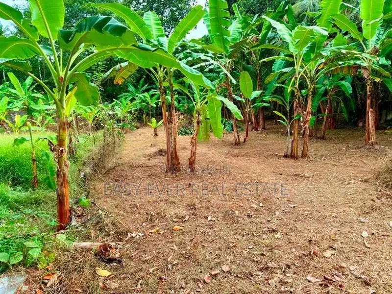 Land for sale in kottawa / KK 15715