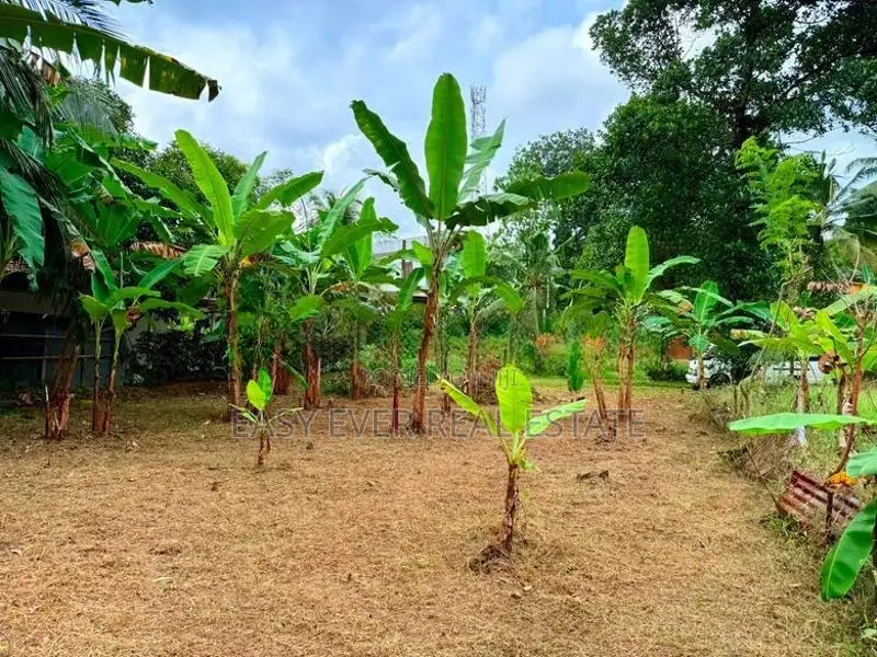 Land for sale in kottawa / KK 15715
